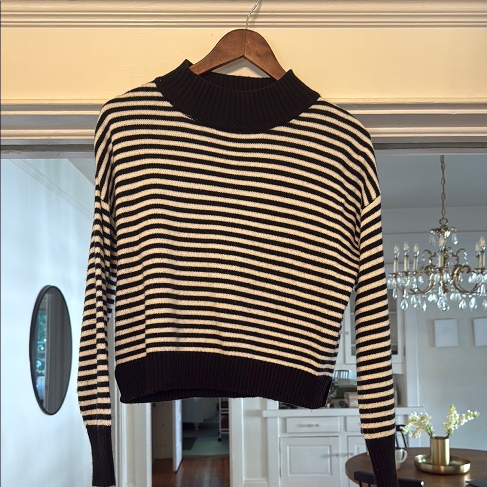 Elegant Black and White Striped Turtleneck Sweater